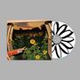 Eine CD mit schwarz-weißer Sonnenblumenzeichnung liegt neben einem Foto von Sonnenblumen in einem Abenddämmerungsfeld., CD