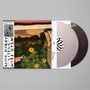 Dies ist ein Albumcover mit dem Text: "Kevin Morby, Little Wide Open". Es zeigt Sonnenblumen im Sonnenuntergang.