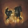 The Besnard Lakes: The Besnard Lakes Are The Dark Horse, LP