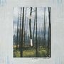 S. Carey: Watercress, Single 12"