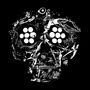 Young Widows: Decayed: Ten Years Of Cities, Wounds, Lightness, And Pain, LP,LP