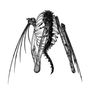 Lotic: Heterocetera, LP, LP