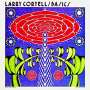 Larry Coryell (1943-2017): Basics, CD