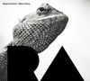 Gabriel Dalvit & Albert Sanz: RA, CD