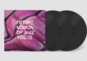 Various Artists: Future Sounds Of Jazz Vol.12, LP