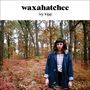 Waxahatchee: Ivy Tripp, CD