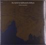 "De Aeris In Sublunaria Influxu, Troum & raison d'être." Dunkle, abstrakte, erdähnliche Texturen dominieren., 2 LPs