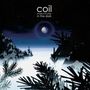 Coil: Musick To Play In The Dark (remastered) (Limited Edition) (Purple & Black Smash Vinyl), LP,LP