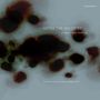 Text: "AFTER THE WILDFIRE, JAN BANG — ARVE HENRIKSEN. Punkt Editions. Fames Institute Orchestra conducted by DZIJAN EMIN."
Abstrakte, dunkle, rauchähnliche Formen auf grauem Hintergrund., LP