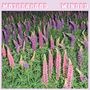 The Motherhood: Winded, LP