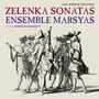 Jan Dismas Zelenka (1679-1745): Triosonaten Nr.3,5,6, Super Audio CD