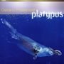 Gerard Presencer: Platypus, Super Audio CD