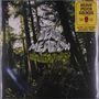Dead Meadow: Old Growth (Limited Edition) (Yellow/Green/Orange Splatter Vinyl), LP,LP