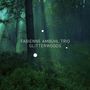 Fabienne Ambühl: Glitterwoods, CD