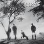 Josef K: Sorry For Laughing (remastered), LP, LP