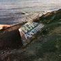 Die Wörter "FIDLAR" und "ALMOSTFREE" sind in Graffiti auf einen Betonblock nahe einem felsigen Strand gesprayt., LP