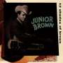 Junior Brown: Twelve Shades Of Brown, CD