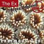 The Ex & Brass Unbound: Enormous Door, LP