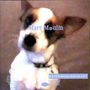 Text: "Marc Moulin" oben und "ENTERTAINMENT" unten in Blau. Ein kleiner Hund schaut fragend in die Kamera.