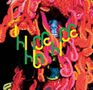 Björk: Innocence (Limited Edition) (2 x 12"Vinyl + CD + DVD), MAX,MAX,CD,DVD