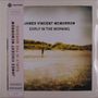 "JAMES VINCENT MCMORROW EARLY IN THE MORNING" mit Landschaft in sanften Brauntönen, Person im Hintergrund., LP