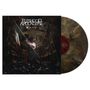 Fleshgod Apocalypse: Opera (Copper/Black Marbled Vinyl), LP