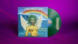 Sufjan Stevens & Angelo De Augustine: A Beginner's Mind (Limited Indie Exclusive Edition) (Back To Oz Emerald City Green Vinyl), LP