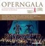 17. Festliche Operngala für die Deutsche AIDS-Stiftung, 2 CDs, 2 CDs