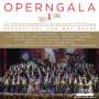 : 22.Festliche Operngala für die Deutsche AIDS-Stiftung, CD,CD