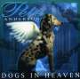 Pete Anderson: Dogs In Heaven, CD