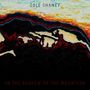 Oben steht "COLE CHANEY", unten "IN THE SHADOW OF THE MOUNTAIN". Abstrakte Landschaft mit intensiven, dunklen Farben., CD