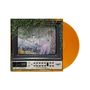 Text "GREAT TELEVISION" auf einem alten Fernseher, umrahmt von Pflanzen; orangefarbene Vinyl-Schallplatte im Hintergrund., LP