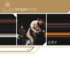 Text: "simpleminds" oben links, "CRY" unten rechts. 
Szene: Sänger neigt sich zum Mikrofon, Band im Hintergrund., CD