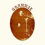 Text "GRANNIE" oben in stilisierter Schrift. Illustration: Person lehnt an E-Gitarre, in einem ovalen Rahmen auf beigem Hintergrund., LP