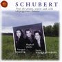 Franz Schubert (1797-1828): Klaviertrios Nr.1 & 2, 2 CDs, 2 CDs