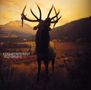 Kosheen: Resist, CD, CD