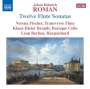 Johan Helmich Roman (1694-1758): Sonaten für Flöte,Cello & Cembalo Nr.1-12, 2 CDs