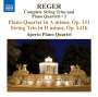 Max Reger (1873-1916): Sämtliche Streichtrios & Klavierquartette Vol.2, CD