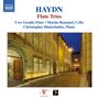Joseph Haydn: Flötentrios nach den Klaviertrios H15 Nr.15-17, CD