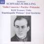 Reinhard Schwarz-Schilling: Orchesterwerke Vol.2, CD