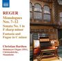Max Reger (1873-1916): Sämtliche Orgelwerke Vol.13, CD