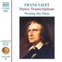 "FRANZ LISZT Dance Transcriptions Wenting Shi, Piano." Ein Gemälde eines Mannes mit langen Haaren., CD