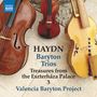 Texte: „HAYDN Baryton Trios Treasures from the Eszterháza Palace 3 Valencia Baryton Project“. Drei klassische Streichinstrumente.