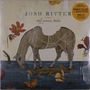 Josh Ritter: The Animal Years (Opaque Yellow/Black Swirl) (Limited Edition), LP