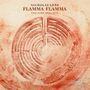 Nicholas Lens: Flamma Flamma - The Fire Requiem (180g), 2 LPs