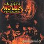 Text: "NO USE FOR A NAME". Jugendliche um ein Lagerfeuer, einer spielt Gitarre. Oben beschwört eine Gestalt im Baumstamm.