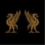 Joey Cape & Jon Snodgrass: Liverbirds, CD