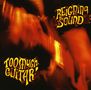 Reigning Sound: Too Much Guitar, CD