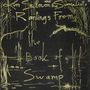 Kim Salmon: Rantings From The Book Of Swamp, LP,LP
