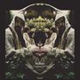 Midlake: The Courage Of Others (180g) (Deluxe Edition) (Black Vinyl), 2 LPs